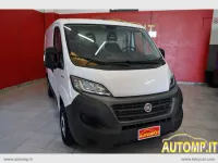 Usata Fiat Ducato 120 CV (88 kW) 2020 Bianco Furgone
