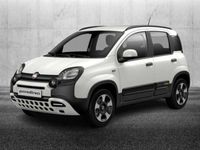 Usata Fiat Panda S 70 CV (51 kW) 2024 Bianco Utilitaria