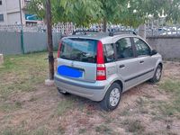 Usata Fiat Panda 2006 Grigio Utilitaria