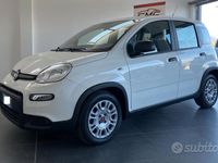 Usata Fiat Panda S 70 CV (51 kW) 2023 Bianco Utilitaria