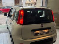 Usata Fiat Panda City Life 70 CV (51 kW) 2022 Bianco Utilitaria