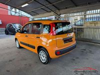 Usata Fiat Panda Easy 69 CV (50 kW) 2020 Arancione Utilitaria