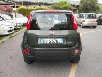 Usata Fiat Panda Trekking 80 CV (58 kW) 2013 Verde Utilitaria