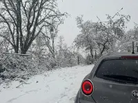 Usata Alfa Romeo MiTo 120 CV (88 kW) 2009 Utilitaria