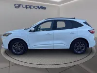 Usata Ford Kuga ST-Line X 225 CV (165 kW) 2023 SUV