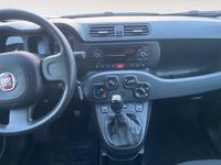 Usado Fiat Panda City Life 70 CV (51 kW) 2021 Gris Utilitario