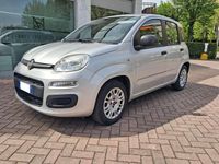 Usata Fiat Panda Easy 69 CV (50 kW) 2019 Argento Utilitaria