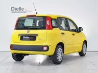 Nuova Fiat Panda Icon 65 CV (47 kW) 2026 Giallo pastello Utilitaria