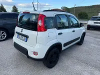 Usata Fiat Panda 4x4 85 CV (62 kW) 2020 Bianco Utilitaria