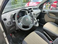 usata Fiat Panda 1.2 Dynamic usato