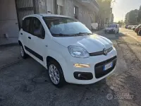 Usata Fiat Panda Easy 85 CV (62 kW) 2015 Bianco Utilitaria
