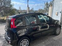 usata Fiat Panda Panda 1.2 Easy