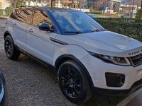 usata Land Rover Range Rover evoque 5p 2.0 ed4 Pure 150cv