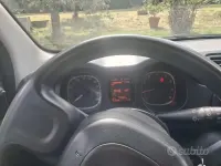 Usata Fiat Panda 4x4 85 CV (62 kW) 2019 Bianco Utilitaria
