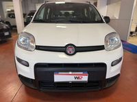 Usata Fiat Panda City Life 69 CV (50 kW) 2022 Bianco Utilitaria