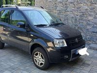 Usata Fiat Panda 4x4 Dynamic 69 CV (50 kW) 2010 Utilitaria