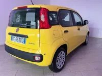 Nuova Fiat Panda Icon 65 CV (47 kW) 2026 Giallo Utilitaria