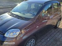 Usata Fiat Panda Pop 69 CV (50 kW) 2015 Blu/azzurro Utilitaria