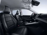 Nuova MG ZS Comfort 116 CV (85 kW) 2025 Pebble black SUV