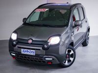 usata Fiat Panda Cross Cross 1.0 FireFly S&S Hybrid del 2023 usata a San Paolo d'Argon