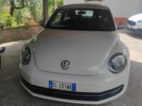 Immagine 1