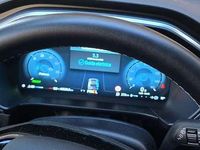 Usata Ford Kuga Active X 184 CV (135 kW) 2025 Verde SUV