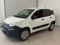 Usata Fiat Panda 4x4 Pop 84 CV (61 kW) 2020 Bianco Utilitaria