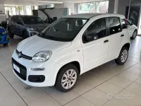 Usata Fiat Panda Easy 80 CV (58 kW) 2018 Bianco Utilitaria