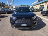 Usata Toyota RAV4 Hybrid Lounge 222 CV (163 kW) 2020 Blu/azzurro SUV