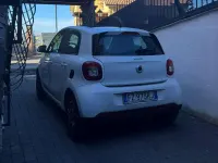 Usata Smart ForFour Prime 90 CV (66 kW) 2019 Bianco Utilitaria