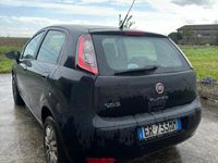 usata Fiat Punto 1.4 NEOPATENTATI