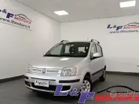 Usata Fiat Panda Dynamic 75 CV (55 kW) 2011 Grigio Utilitaria