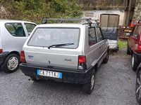 Usata Fiat Panda 2000