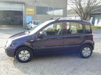 Usata Fiat Panda Dynamic 69 CV (50 kW) 2011 Lilla Utilitaria