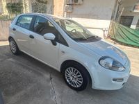 Usata Fiat Punto 75 CV (55 kW) 2013 Bianco Utilitaria