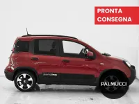 Usata Fiat Panda Cross Cross 70 CV (51 kW) 2025 Rosso Utilitaria