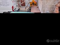 Usata Fiat Panda 54 CV (39 kW) 2001 Verde Utilitaria