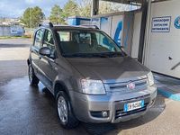 Usata Fiat Panda 4x4 Climbing 74 CV (54 kW) 2011 Grigio Utilitaria