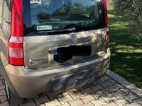Usata Fiat Panda 60 CV (44 kW) 2008 Utilitaria