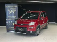 Usata Fiat Panda 4x4 S 75 CV (55 kW) 2013 Rosso Utilitaria