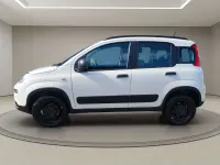 Usata Fiat Panda 4x4 Wild 85 CV (62 kW) 2021 Bianco Utilitaria