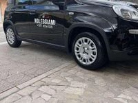 Usata Fiat Panda Icon 69 CV (50 kW) 2025 Utilitaria