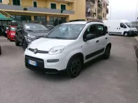 Usata Fiat Panda Cross Cross 69 CV (50 kW) 2021 Bianco Utilitaria