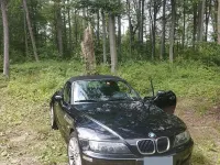 Usata BMW Z3 Efficient Dynamics 118 CV (86 kW) 2003 Nero Cabrio