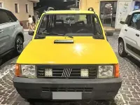 Usata Fiat Panda 4x4 54 CV (39 kW) 2003 Giallo Utilitaria