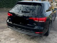 usata Audi A4 A4 2.0 TDI 150 CV Business