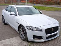 Usata Jaguar XF Prestige 300 CV (220 kW) 2018 Berlina