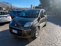 Usata Fiat Panda Easy 69 CV (50 kW) 2019 Grigio Berlina