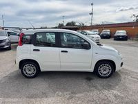 Usata Fiat Panda Easy 69 CV (50 kW) 2015 Bianco Utilitaria