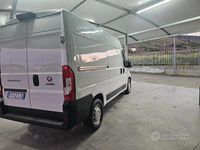 Usata Fiat Ducato 130 CV (95 kW) 2019 Bianco Furgone